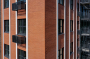 Клинкерная плитка EDELHAUS Ульм, 250х65х20 мм