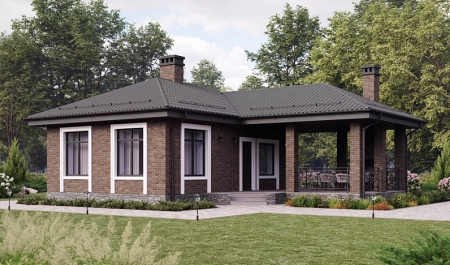 Кирпич клинкерный Plinfa Iron 2807, 270*85*50 мм